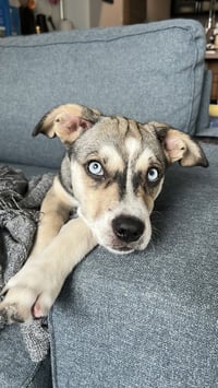 Madison - Photo 2