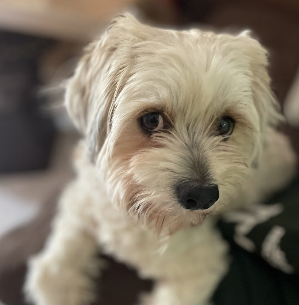 Ghost Malone - Photo 3