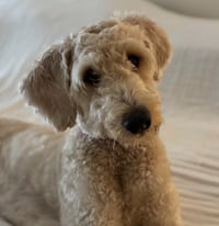 Wally - Photo 1