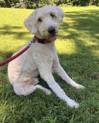 Wally - Photo 3