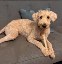Wally - Photo 4