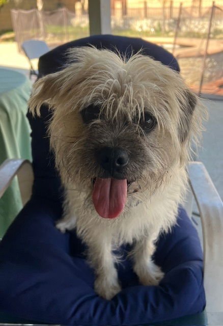 RUDY (Calif) ky - Photo 3