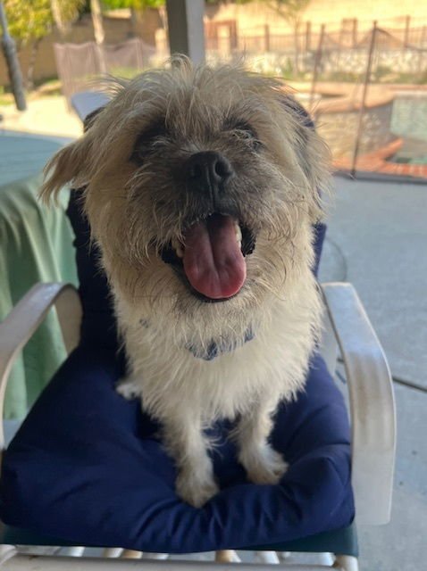 RUDY (Calif) ky - Photo 4