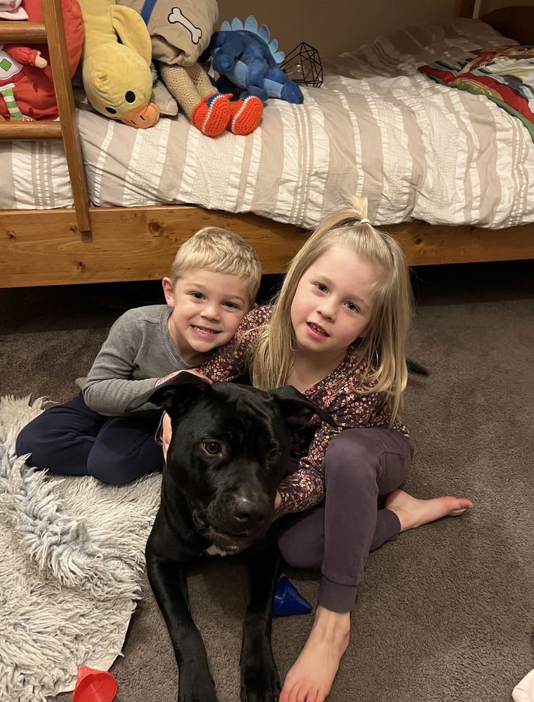 Charlie - (Kelowna BC) - sf - Photo 4