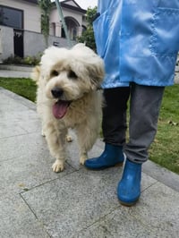 TUCKER (Local in Vancouver) ns - Photo 3