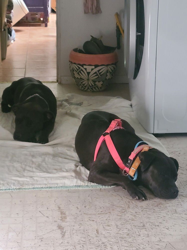 EMERSON (US, N Mex) yo, BOND w/ Debbie - Photo 3