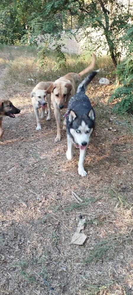 REMY (Middle East) ma - Photo 4