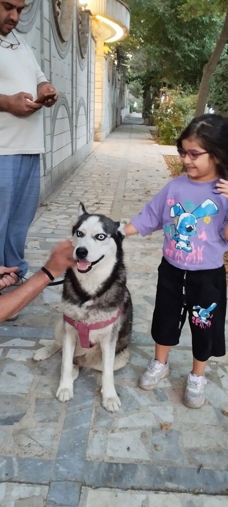 RANGO (Mid-East) ma - Photo 3