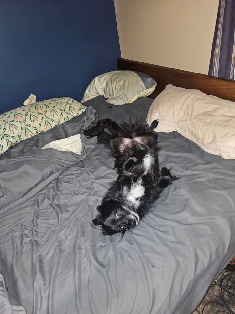 Yaeger - LOCAL - sf - Photo 4