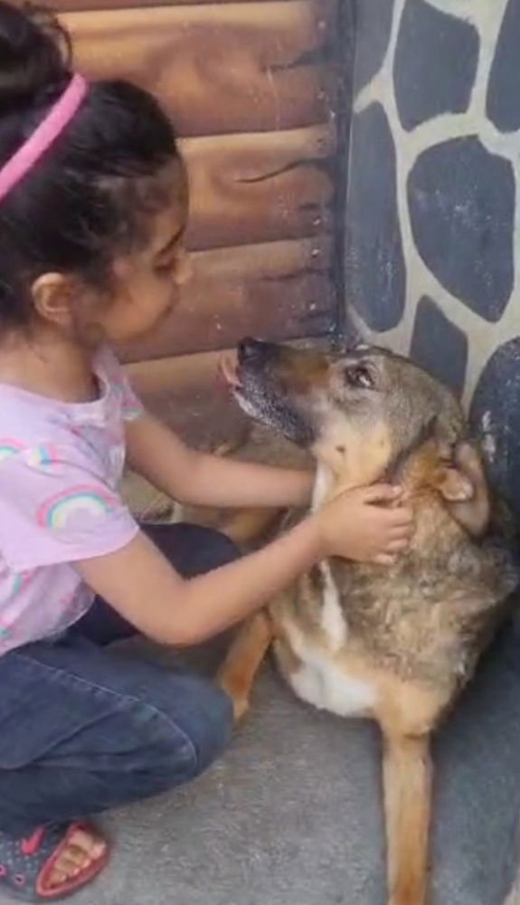 POONEH (local) sf/yo - Photo 3