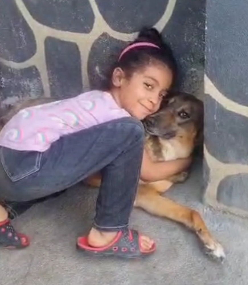 POONEH (local) sf/yo - Photo 4