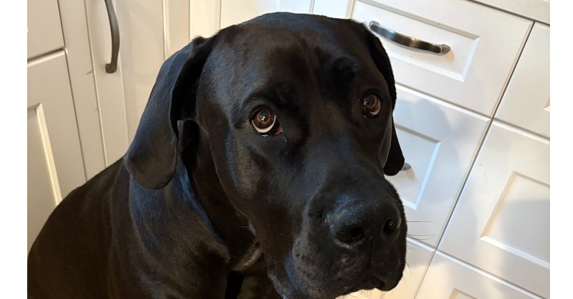 Odin - Courtesy post Image
