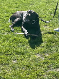 Odin - Courtesy post - Photo 4