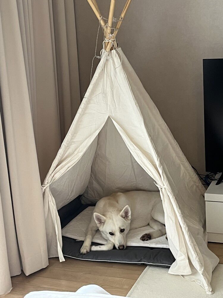 MAY (Korea) yo - Photo 3