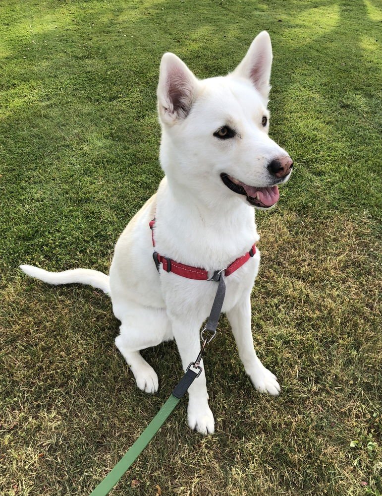 MAY (Korea) yo - Photo 4