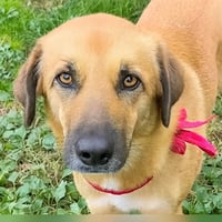 BRYNDA (Rep of Georgia) kt - Photo 2