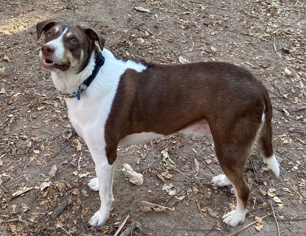 DIEGO (Mexico) yo - Photo 3