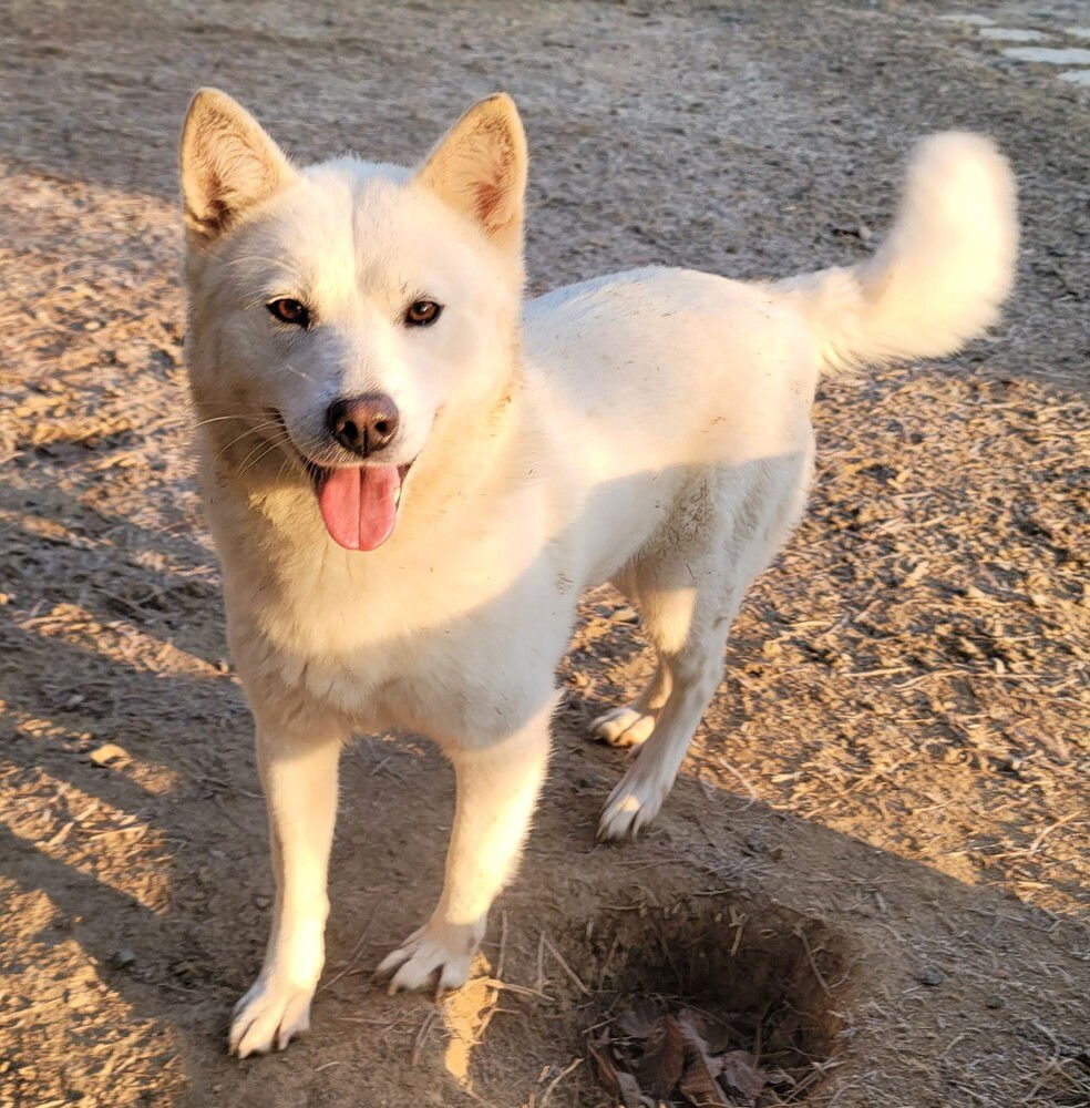 MONROE - Vanc Isl - sf - Photo 3