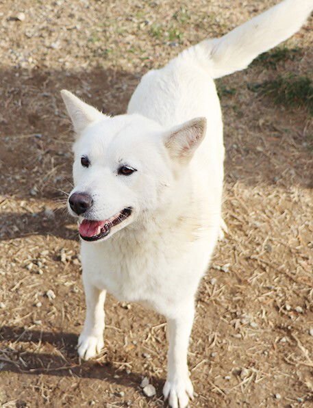 MONROE - Vanc Isl - sf - Photo 4