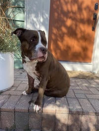 DOUG - Photo 4