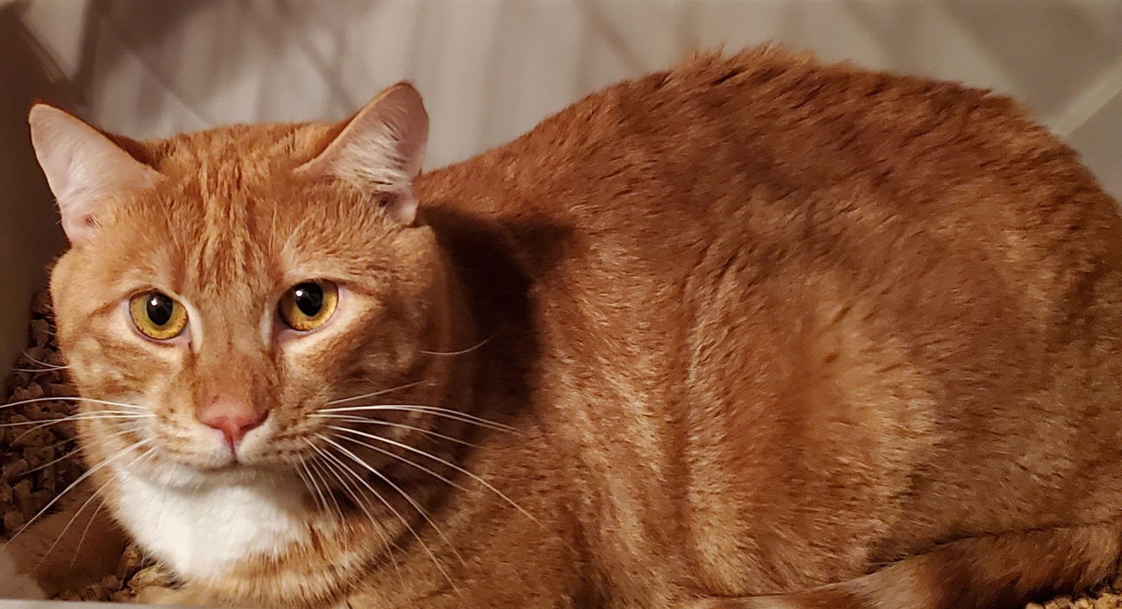 Oliver/Vance - Photo 3