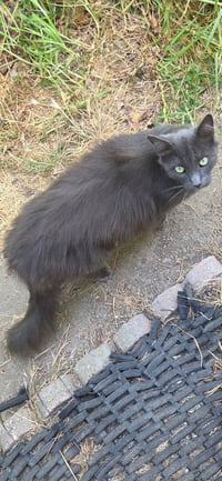 Muffy - Photo 7