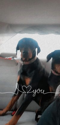 Beta - Photo 9