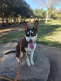 Kane - Photo 5
