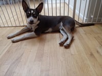 Kane - Photo 9