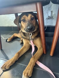 Penelope - Photo 5