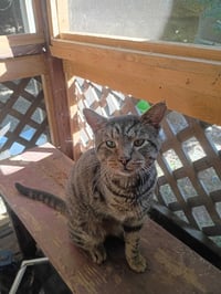 Earl - Photo 4
