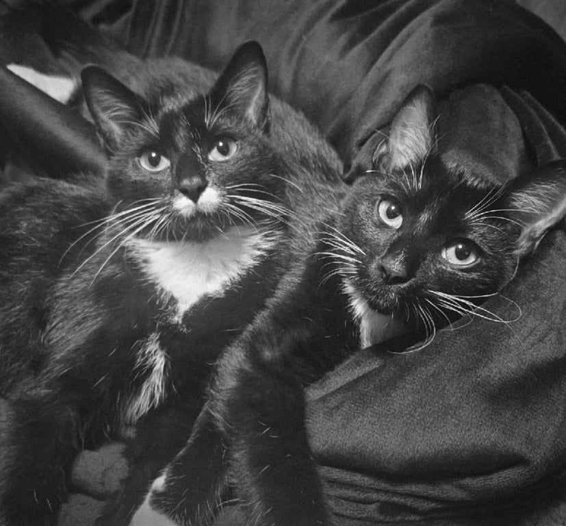 Betty and Boop (stach) Image