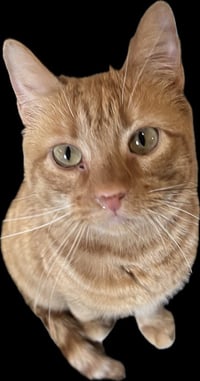 Tara Martin - Photo 1