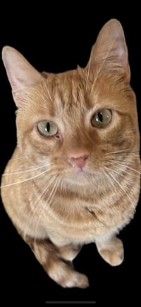 Tara Martin - Photo 2