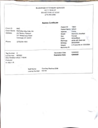 Jones cat 5 (Briar) - Photo 3