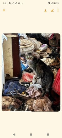 Shutt #20 - Photo 1