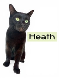 Heath - Photo 1