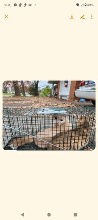 Shutt #19 - Photo 1