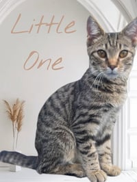 Little One - Photo 3
