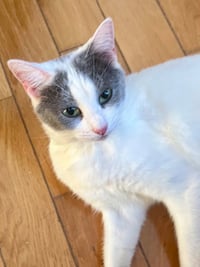 Mrs. Potts - Photo 1