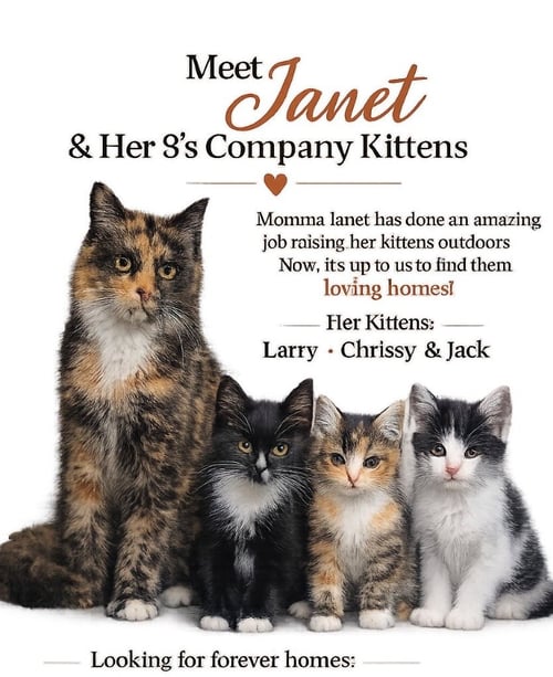 JANET