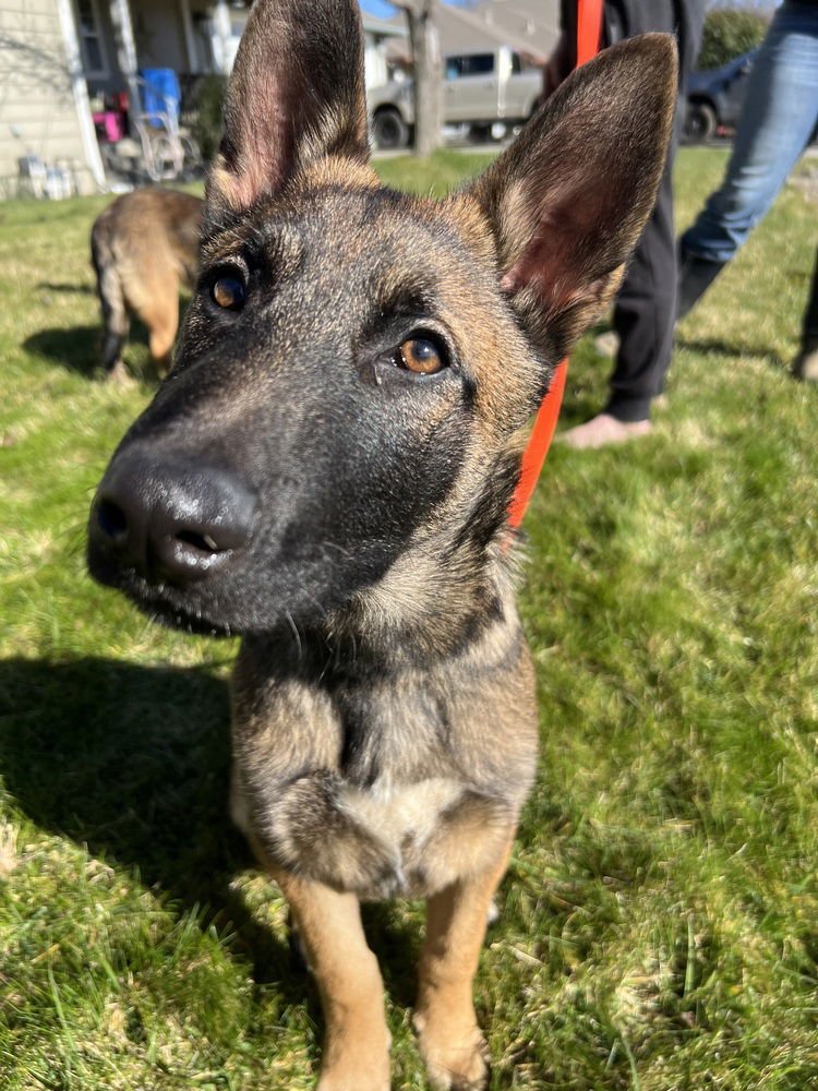 Tom located in CA - Photo 3