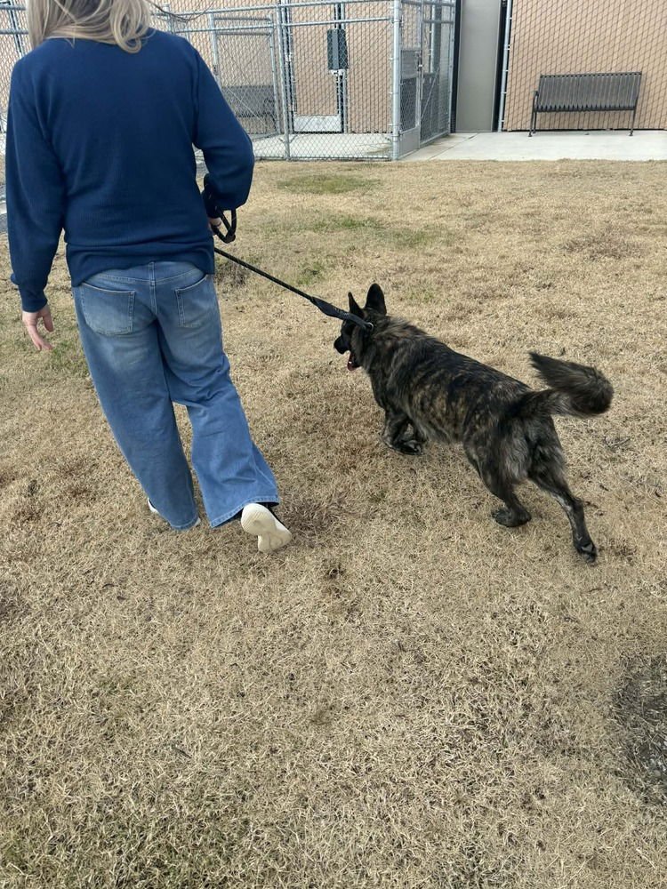 Shaka FKA Oakley in CO - Photo 3