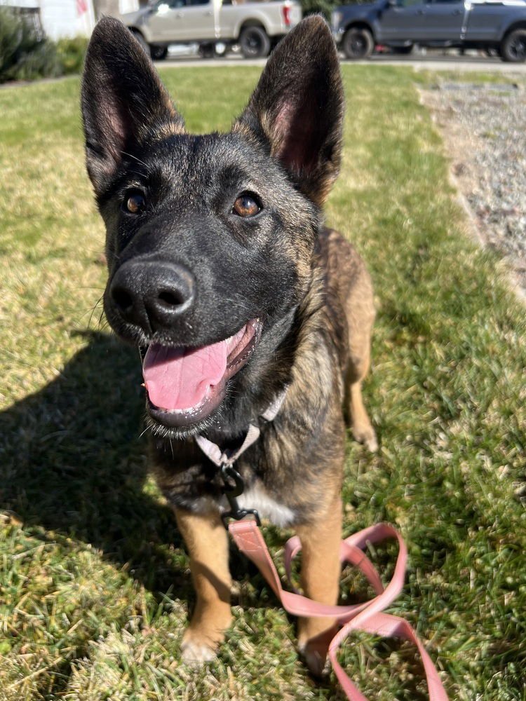 Jerri located in CA - Photo 3