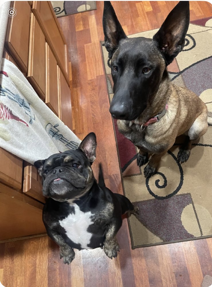 Rocco (Quito) - located in UT - Photo 3