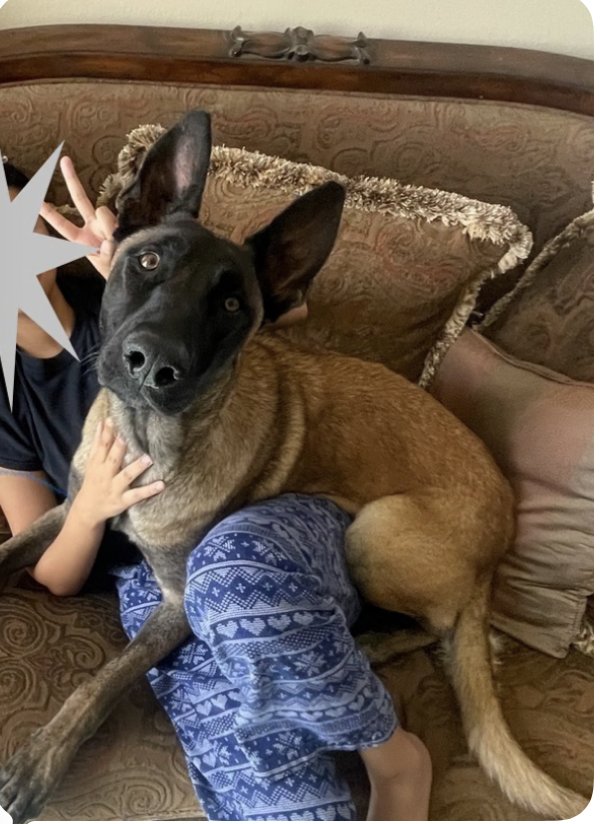 Rocco (Quito) - located in UT - Photo 4