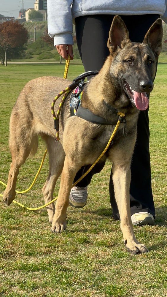 Ava- Located in Ca - Photo 3