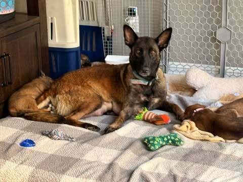 Cota - located in CA - Photo 3