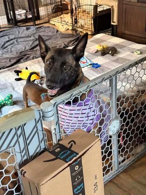 Cota - located in CA - Photo 4