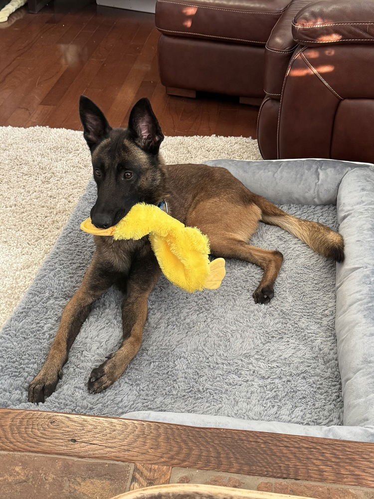 Typhoon - Located in Georgia - Photo 4